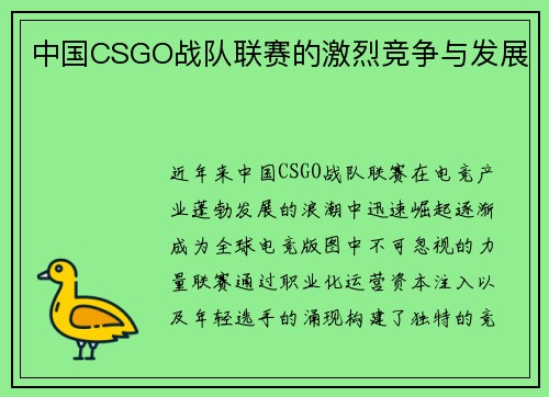 中国CSGO战队联赛的激烈竞争与发展