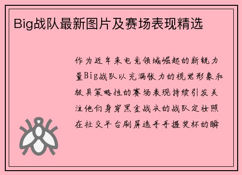 Big战队最新图片及赛场表现精选